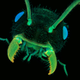 Illustration for article titled Incredible microscopic images from Nikons Small World Photomicrography Competition